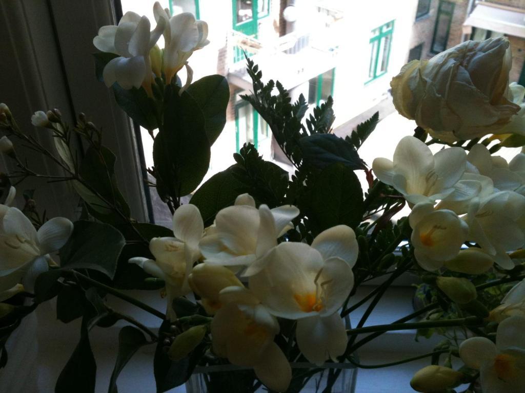 The Pea Blossom B&B Kopenhag Dış mekan fotoğraf
